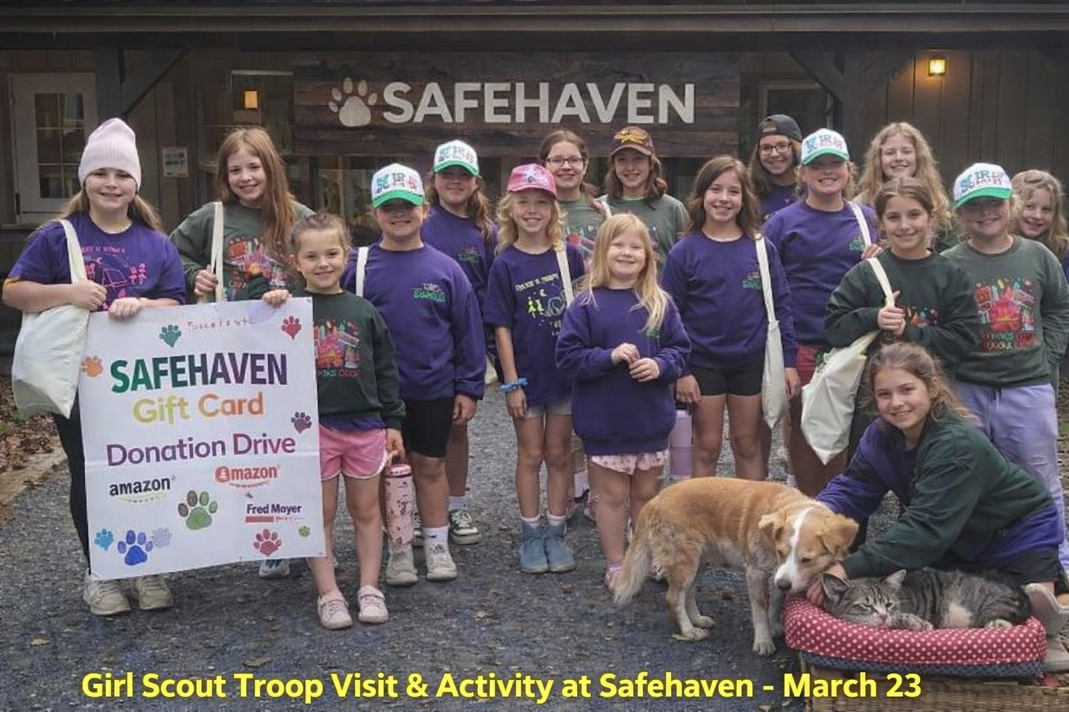 Campaign cover image for Girl Scout Troop Visit & Activity at Safehaven