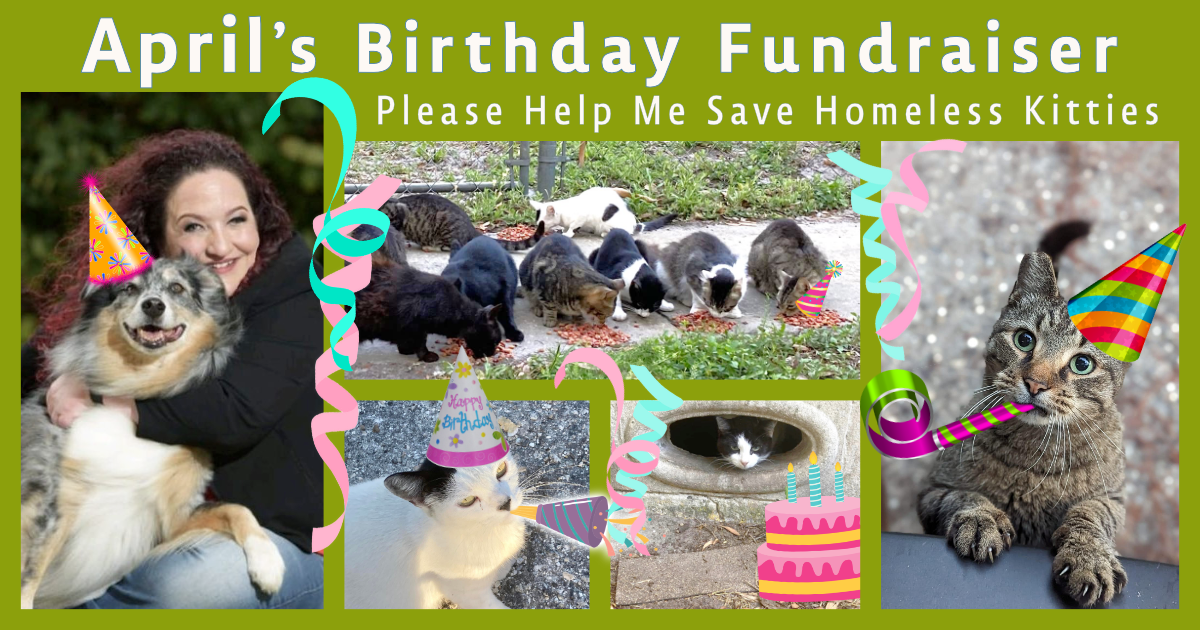 Campaign cover image for April's Birthday Fundraiser