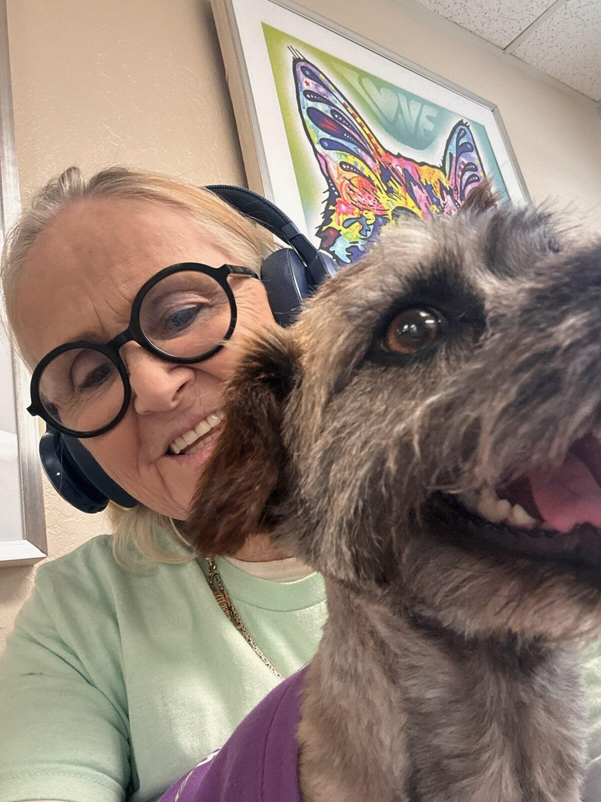 Campaign cover image for ❤️Sponsor Sandy❤️