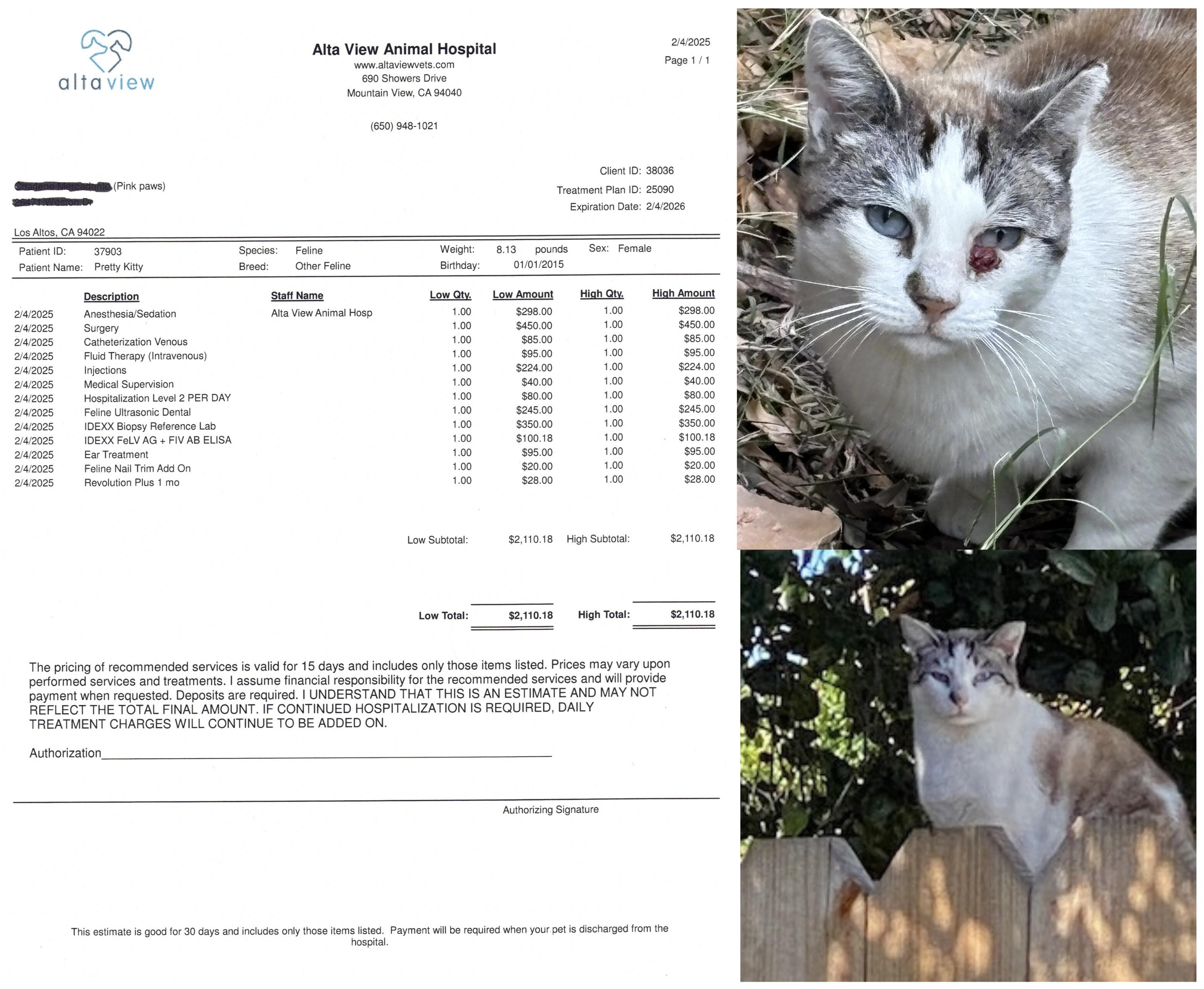 Campaign cover image for Pretty Kitty Needs Surgery