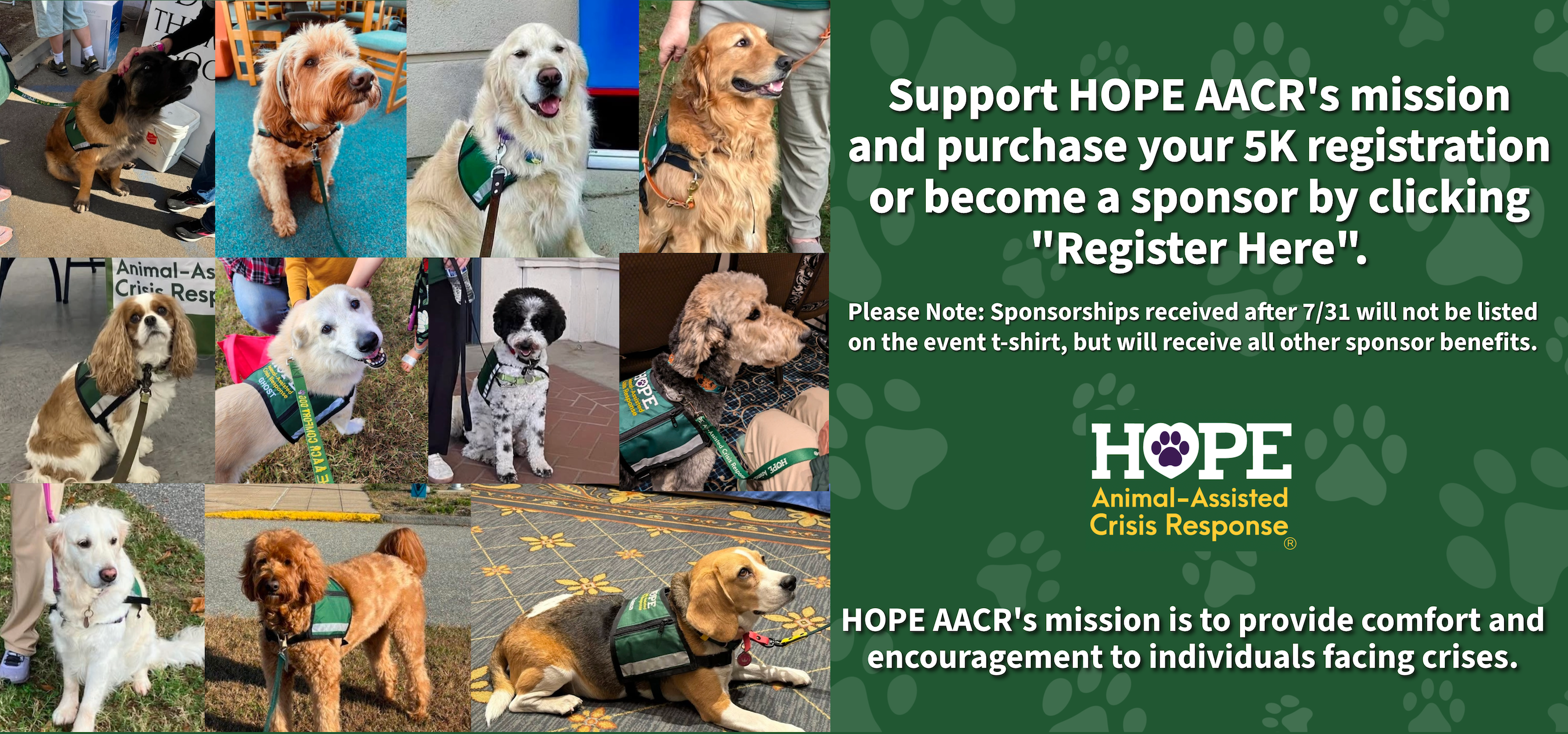 Campaign cover image for Four Paws, One Cause 5K