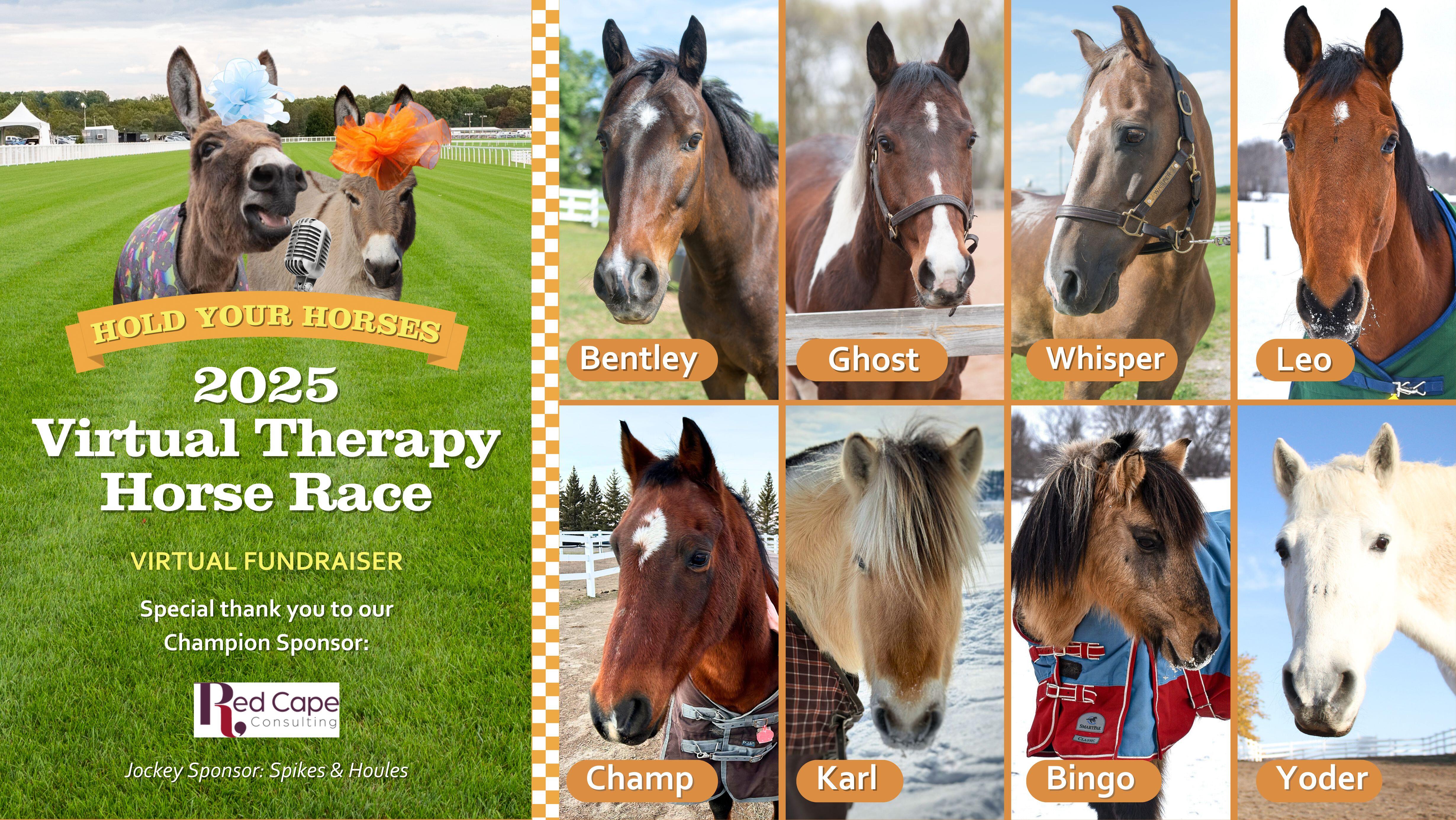 Campaign cover image for HYH Virtual Therapy Horse Race 2025