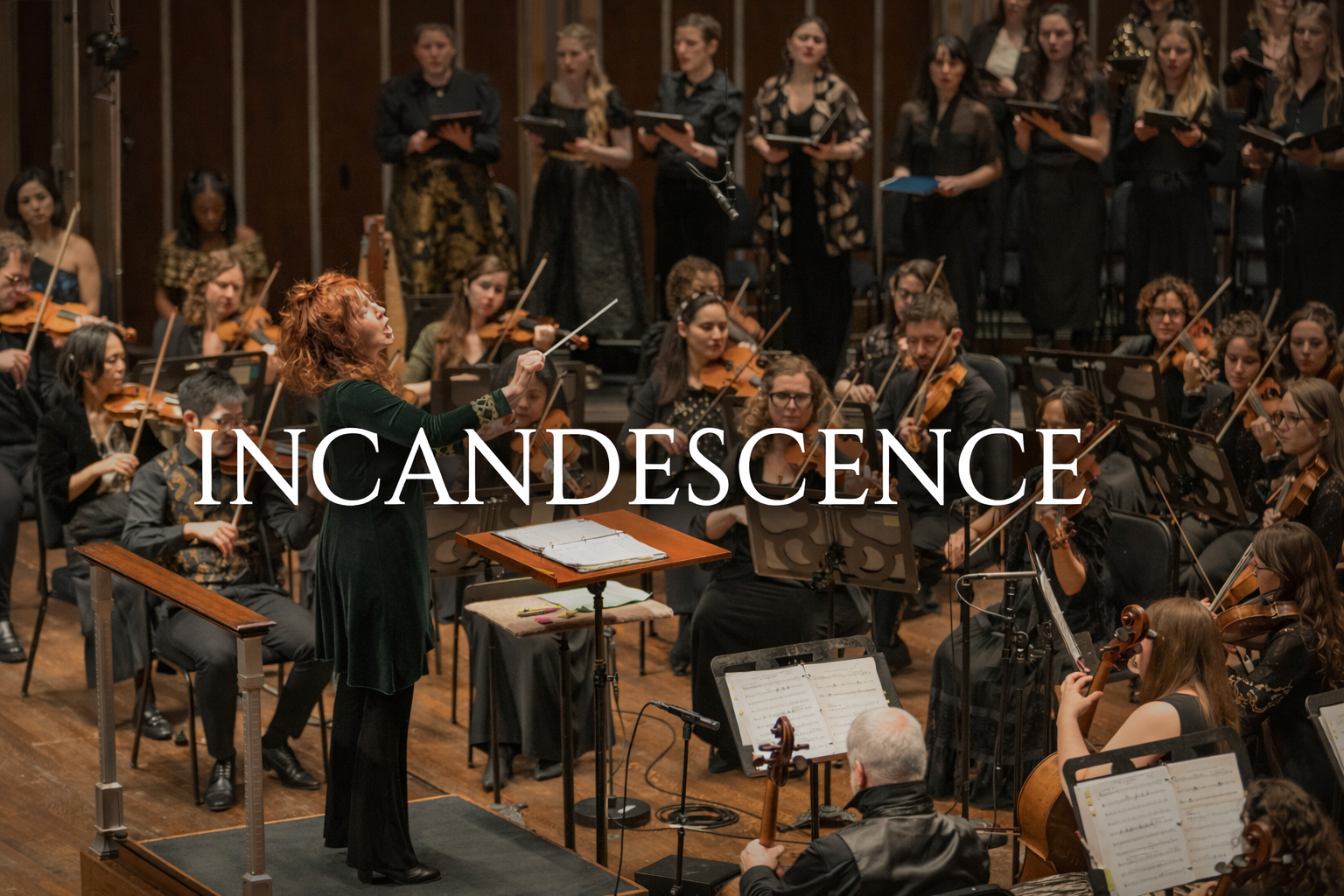 Campaign cover image for Incandescence