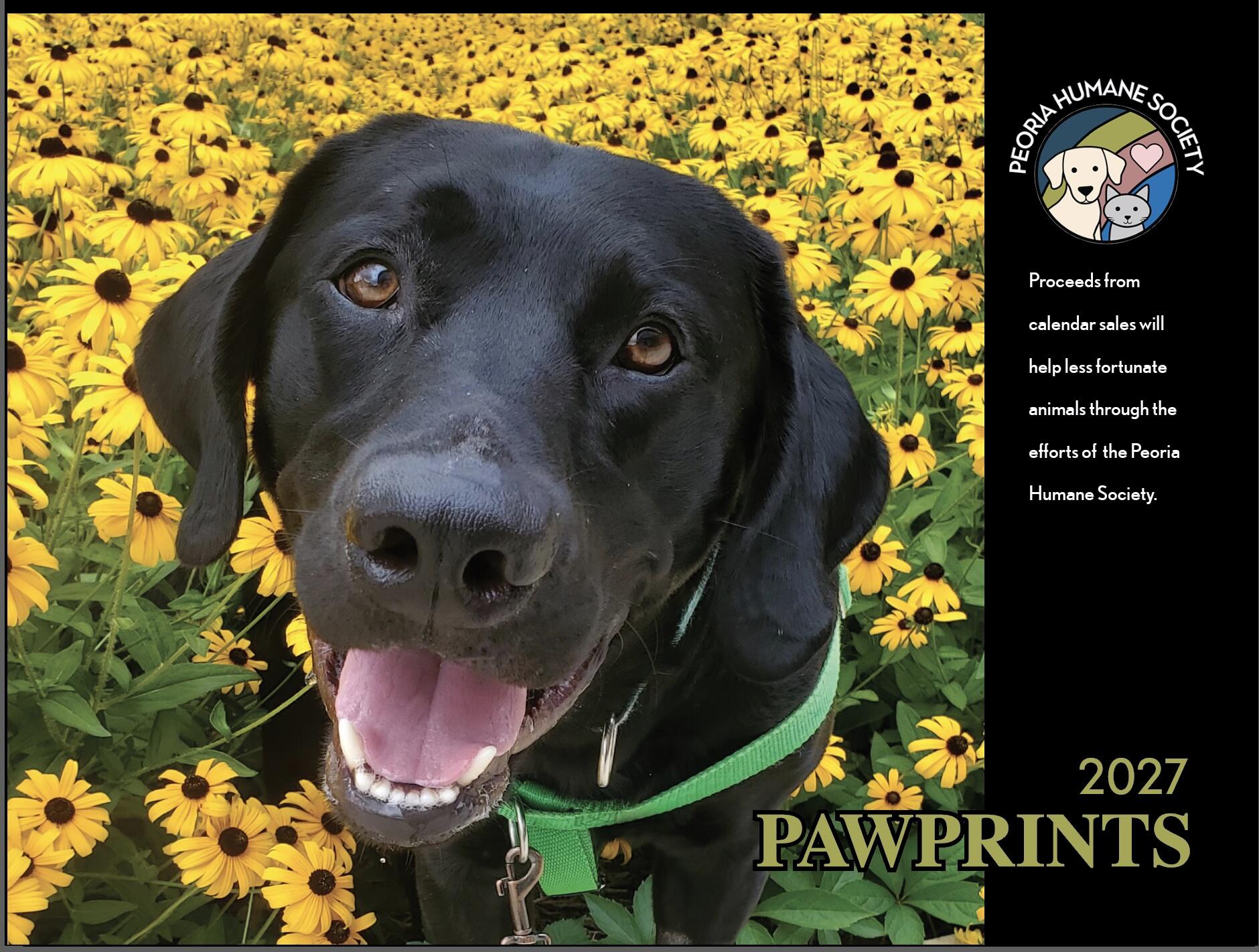 Campaign cover image for PawPrint Calendar