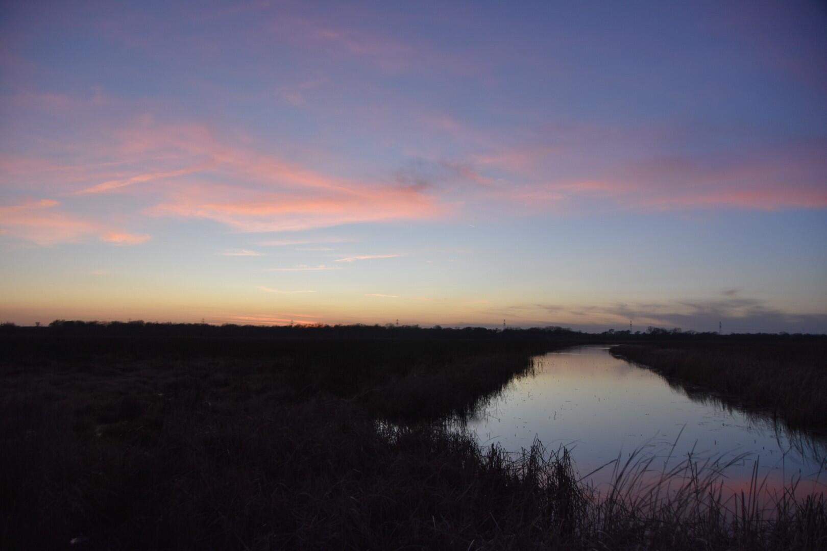 Campaign cover image for Quarterly Central Cell Bird Walk with the Director