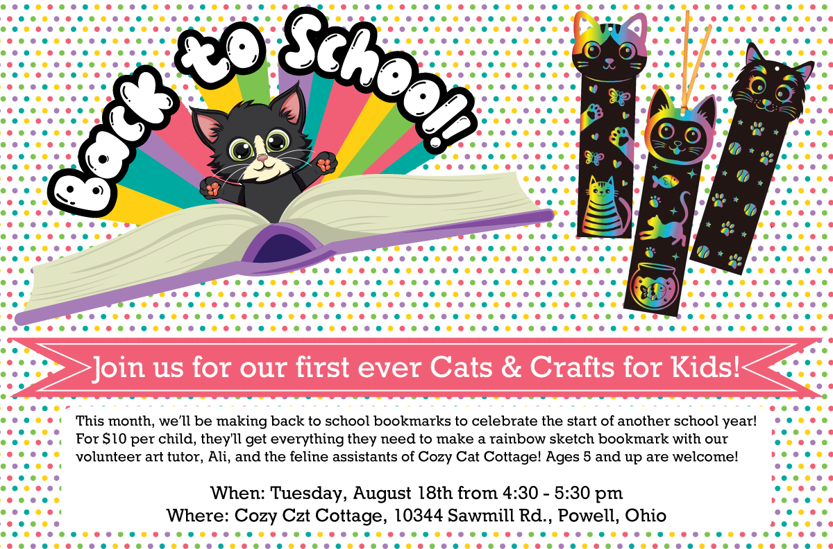 Campaign cover image for Cats & Crafts