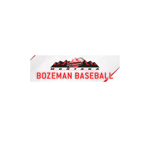 Campaign cover image for 2026 11/12U Bison Team Fundraiser