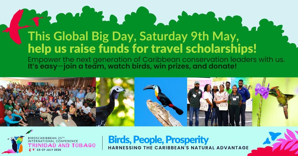 Campaign cover image for Empowering Caribbean Conservation Leaders—For Birds, People, and Prosperity