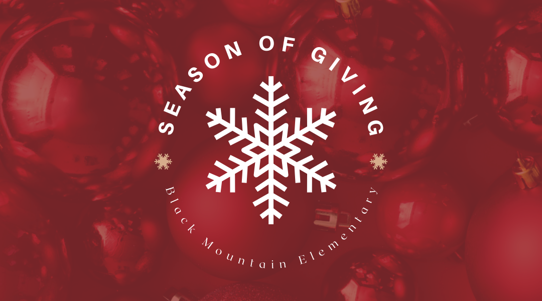 Campaign cover image for BMES Season of Giving
