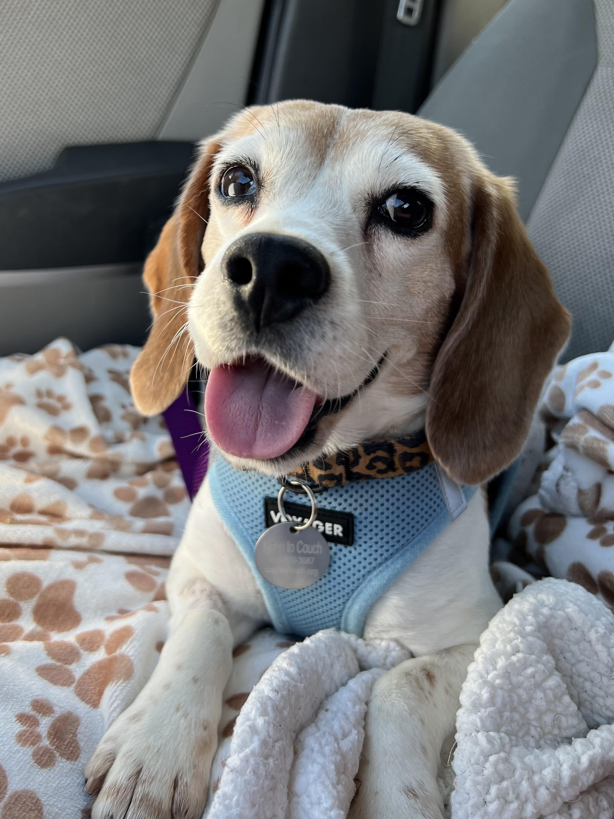 Campaign cover image for May 2025 Laboratory Rescue