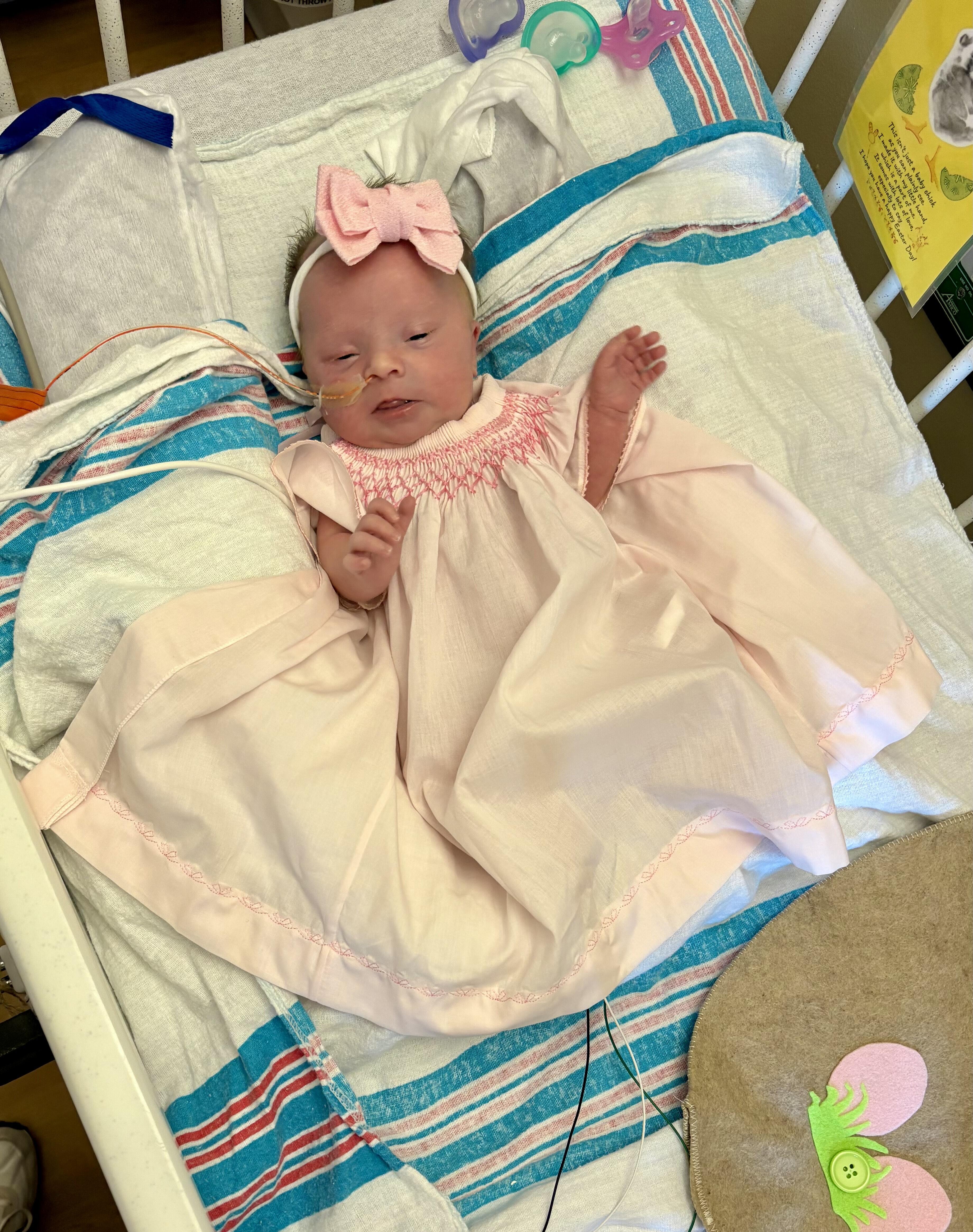 Campaign cover image for Giving Tuesday 2025