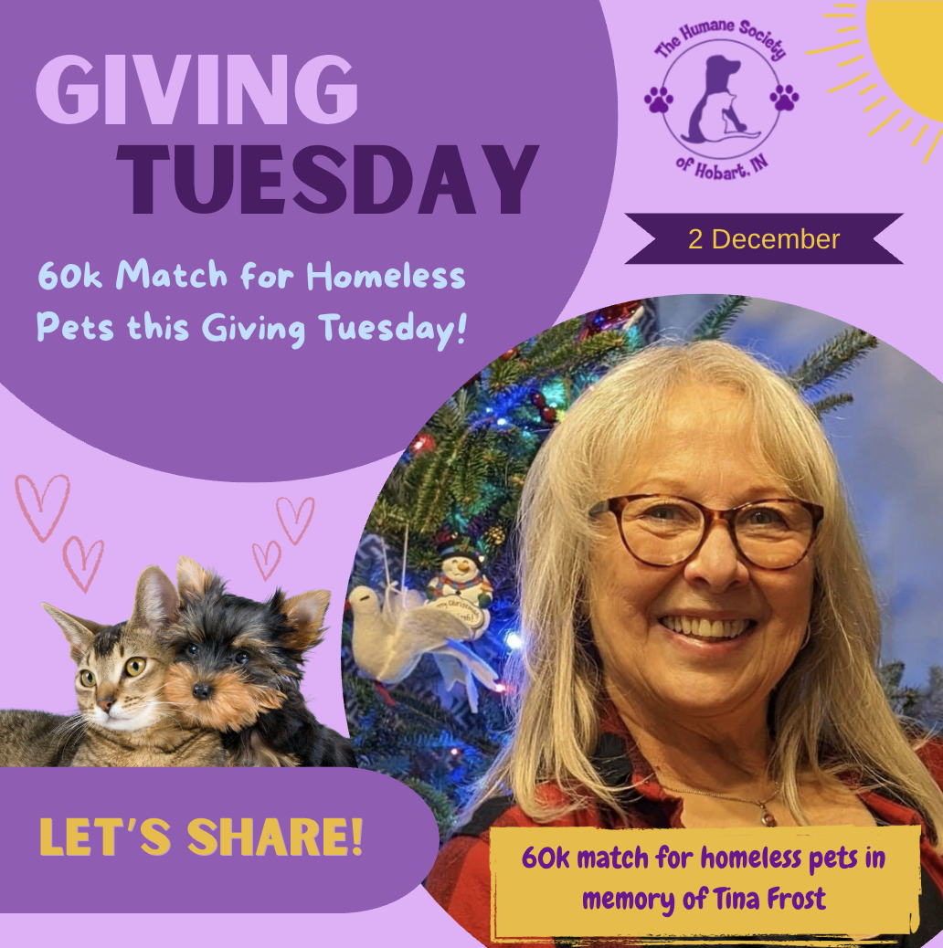 Campaign cover image for Giving Tuesday 2025