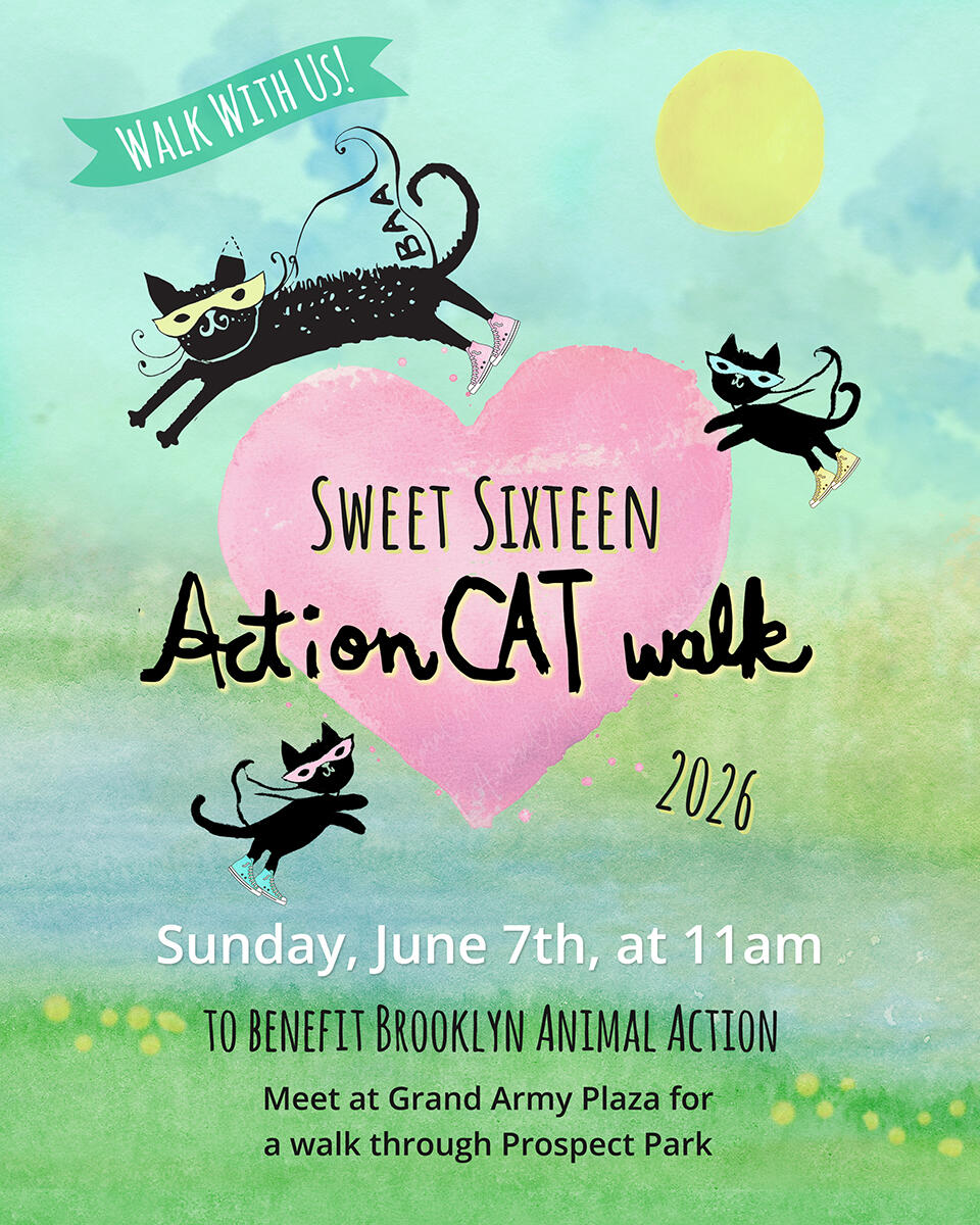 Campaign cover image for ActionCat Walk 2026