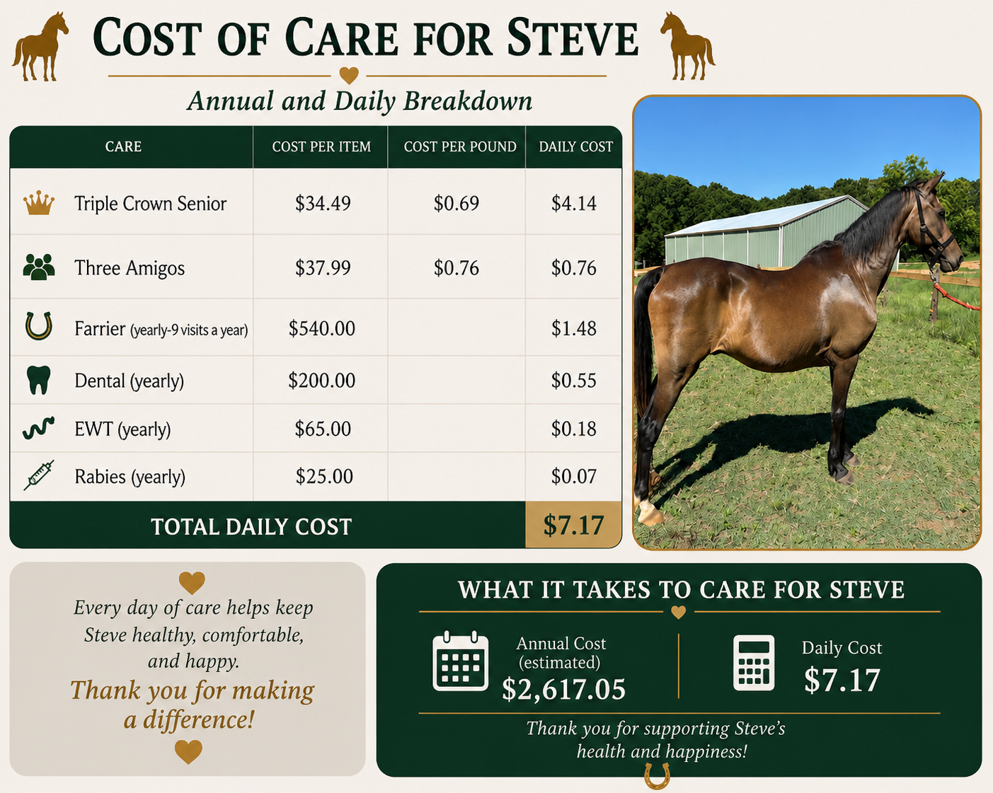 Campaign cover for Steve Sponsorship