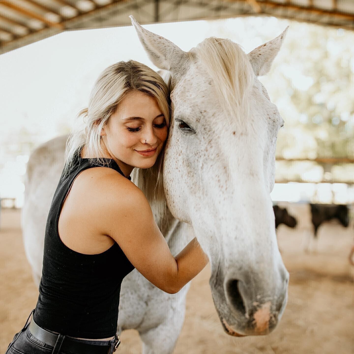 Campaign cover image for Donations