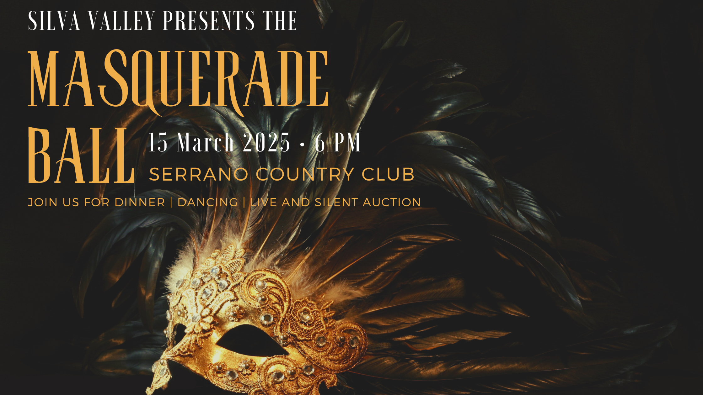 Campaign cover image for Silva Valley Gala 2025