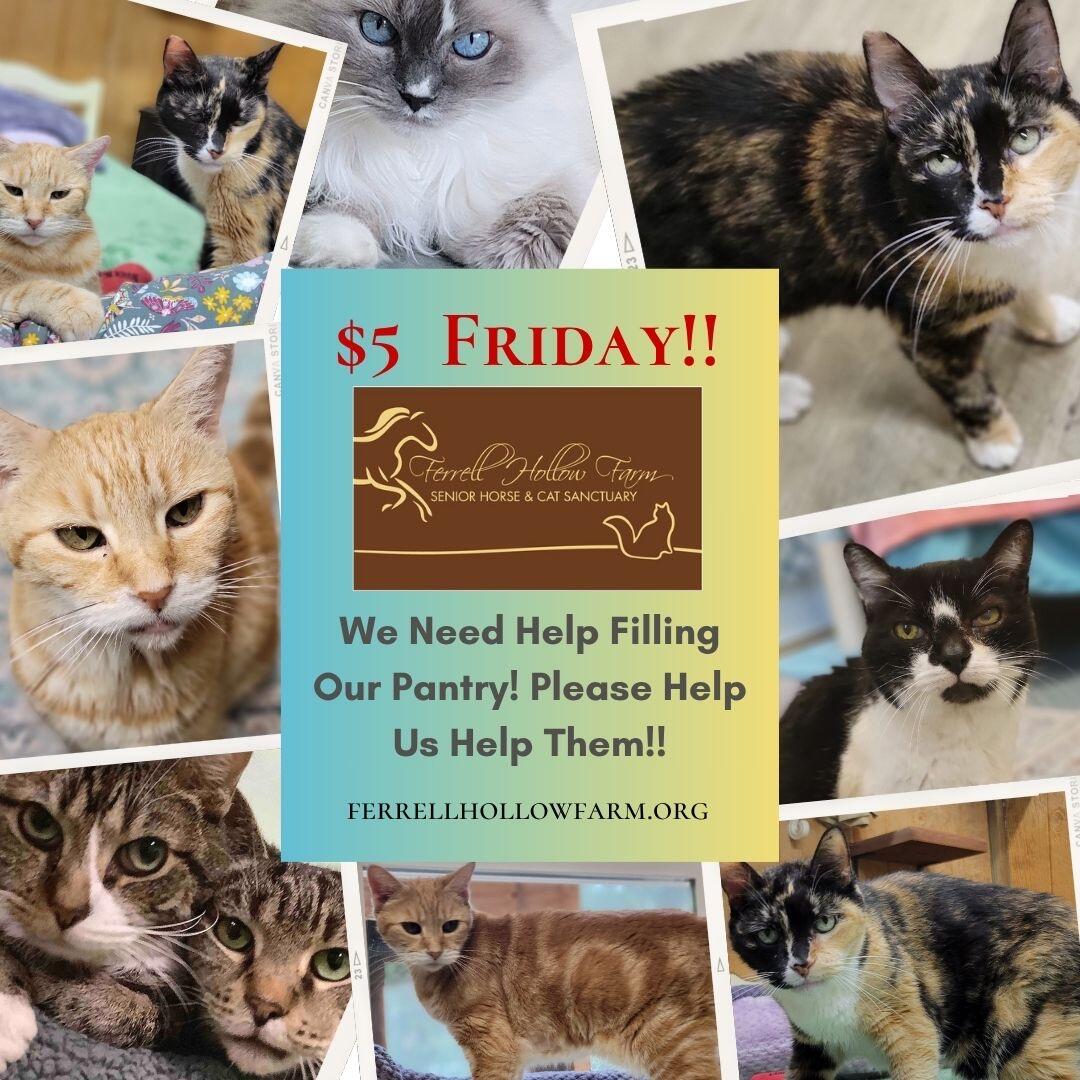 Campaign cover image for $5 Friday August 1, 2025