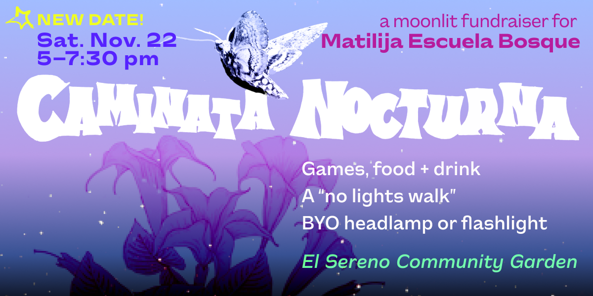 Campaign cover image for Caminata Nocturna, Fall 2025