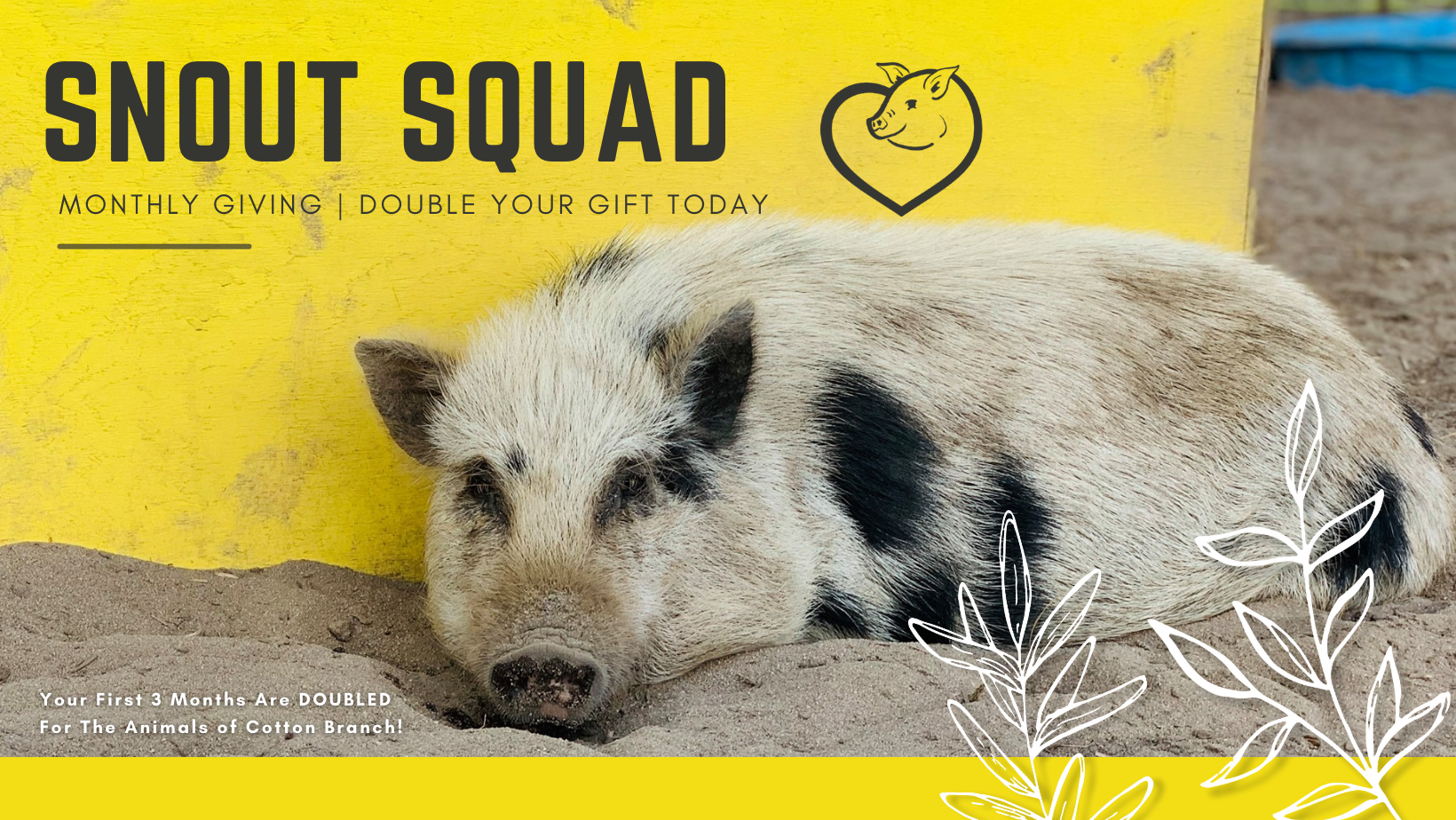 Campaign cover image for Snout Squad | Monthly Giving