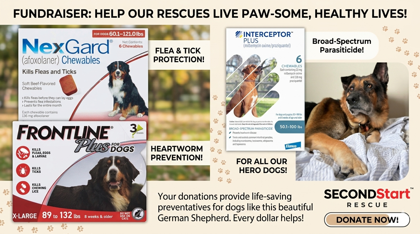 Campaign cover for Preventatives For Our Pups Needed!