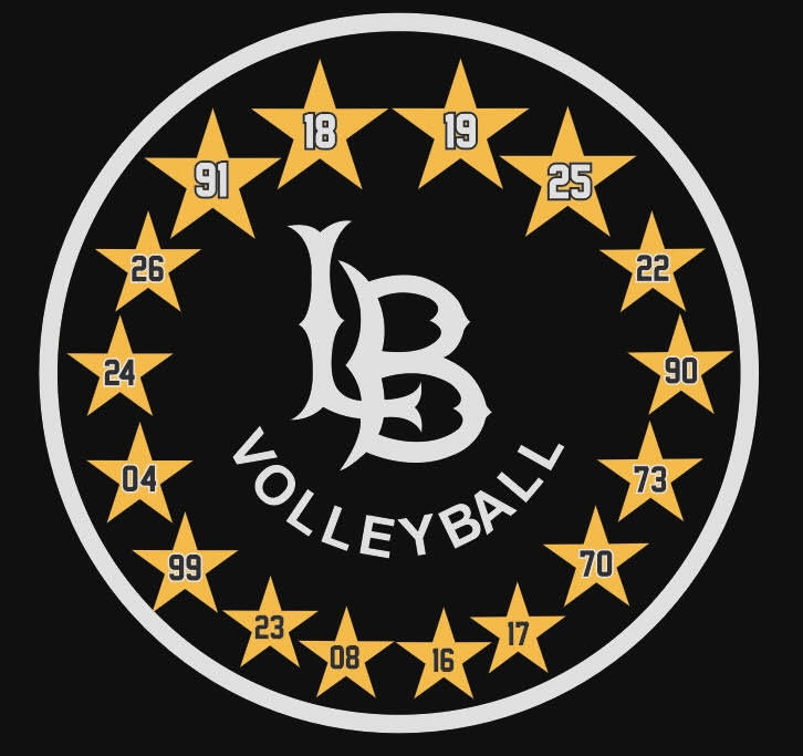 Campaign cover image for Beach Pickleball: LB State Men's Volleyball Fundraiser Tournament