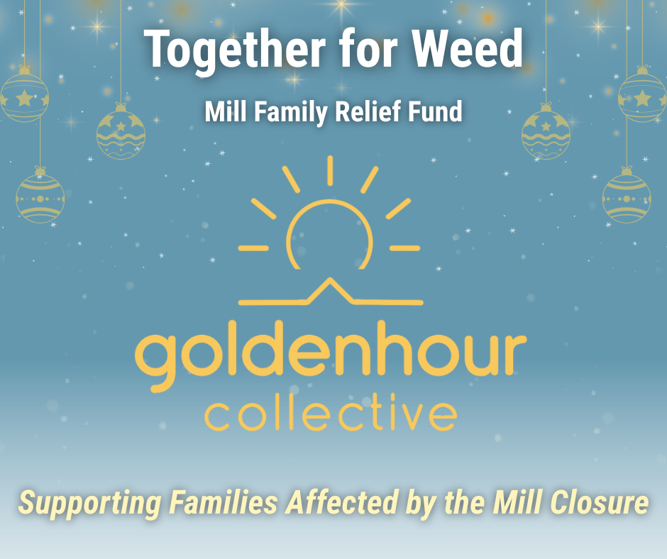 Campaign cover image for Together for Weed: Goldenhour’s Mill Family Relief Fund