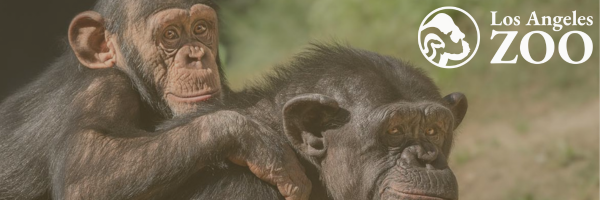 Campaign cover image for Support the Los Angeles Zoo
