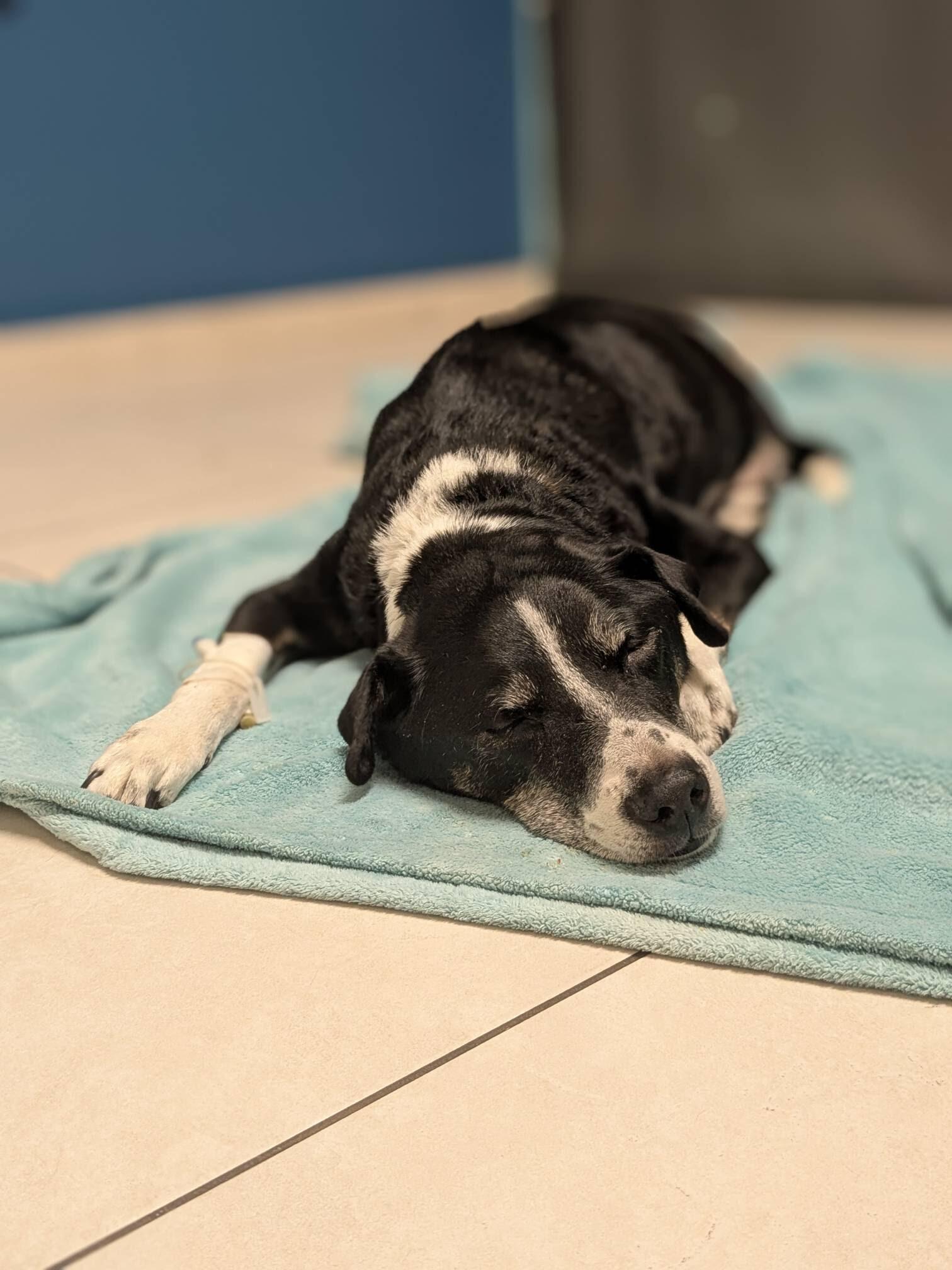 Campaign cover image for Manny’s ER Care