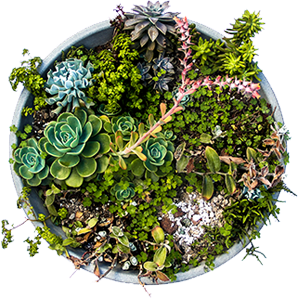 Campaign cover image for Fundraiser for books, membership, and exam costs for our students