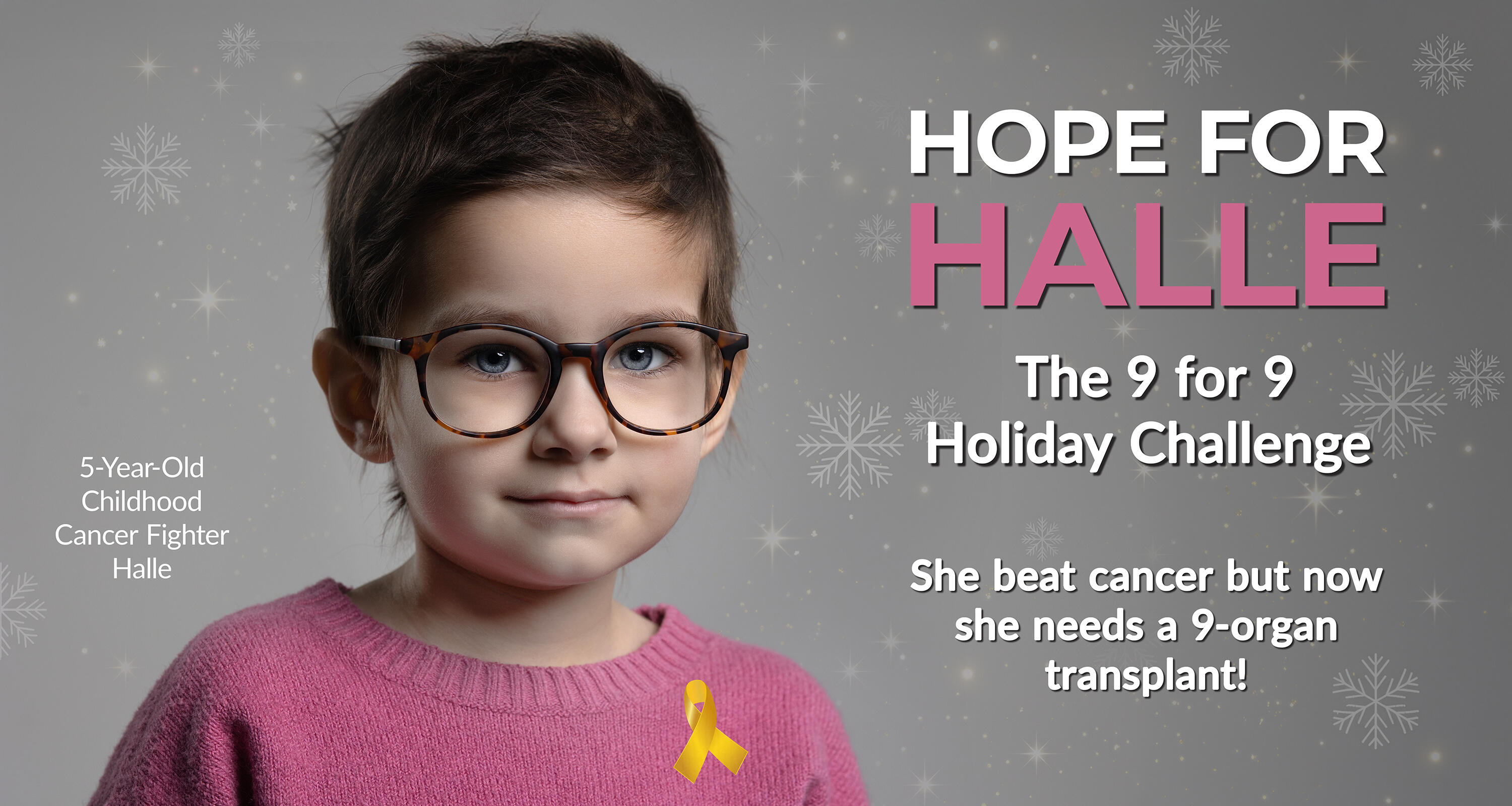 Campaign cover image for Hope for Halle: The 9 for 9 Challenge