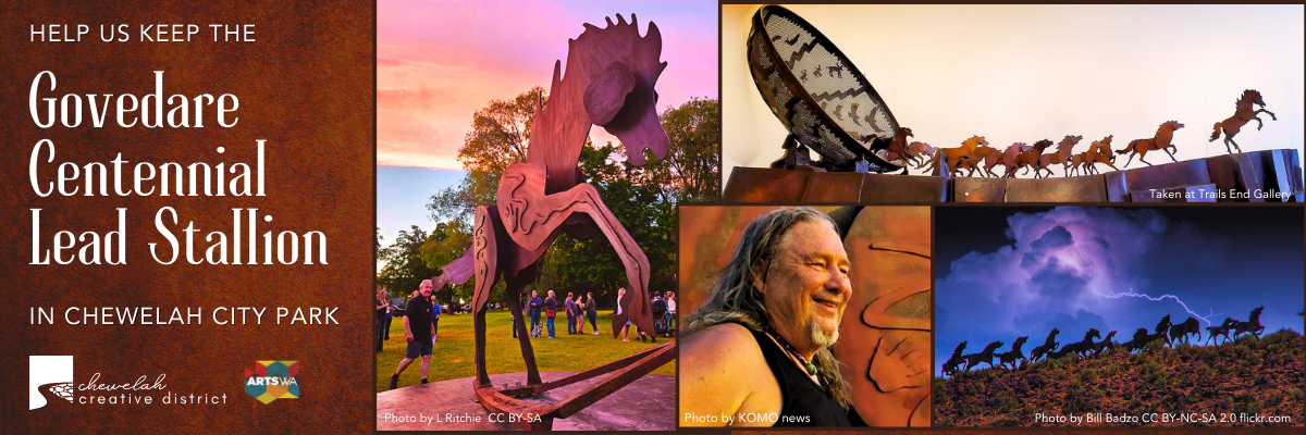 Campaign cover image for Govedare Stallion Fundraiser!