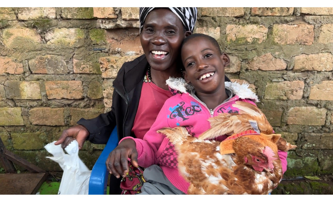 Campaign cover image for Rabbitseed Christmas 2025