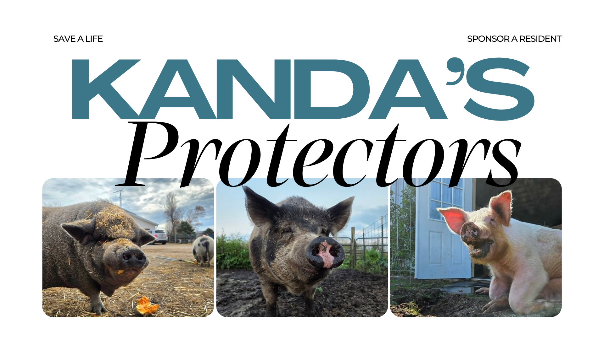 Campaign cover image for Kanda's Protectors