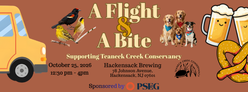 Campaign cover image for A Flight & A Bite with a Fall Auction!