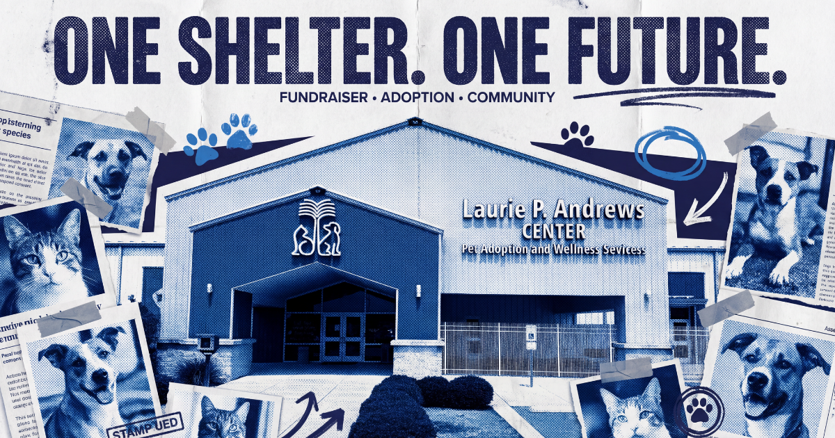 Campaign cover image for One Shelter. One Future.