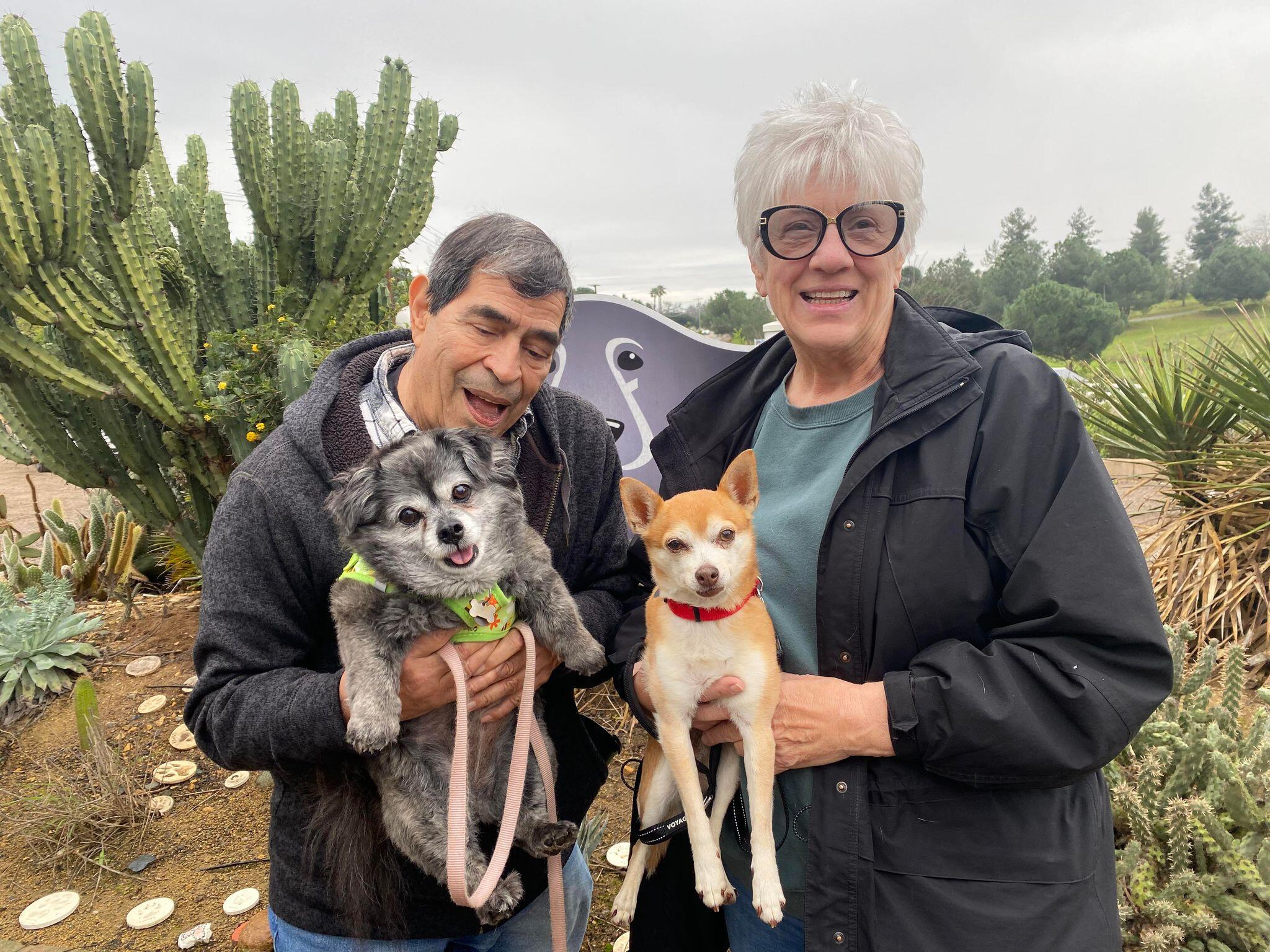 Campaign cover image for End of Year Giving