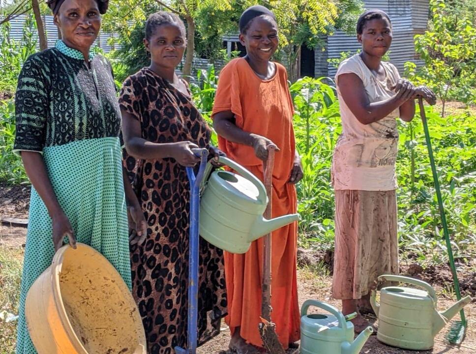 Campaign cover image for 🌱 Jules Faraja Shengo: Empowering Refugees Through Sustainable Solutions