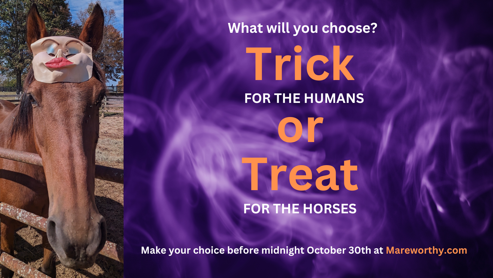 Campaign cover image for Mareworthy Trick or Treat 2023