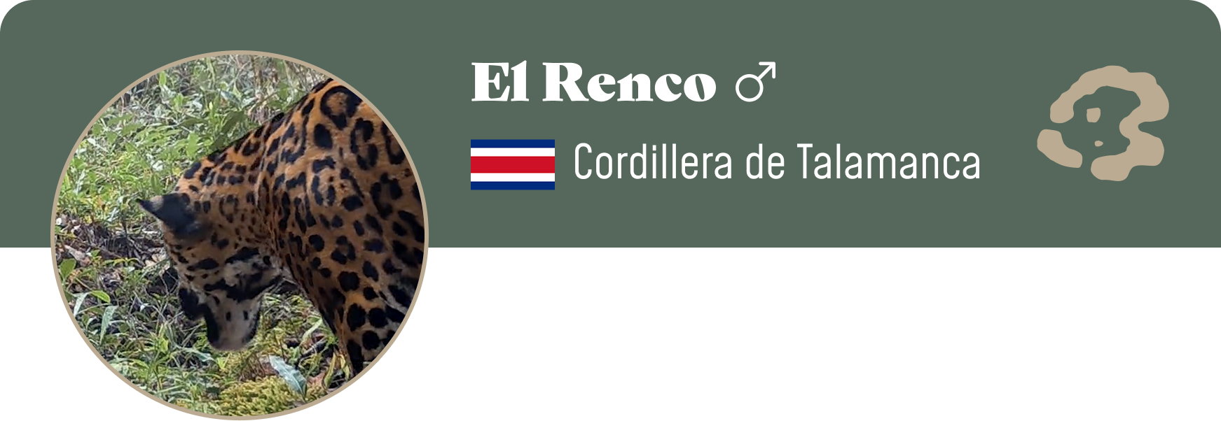 Campaign cover image for Adopt El Renco