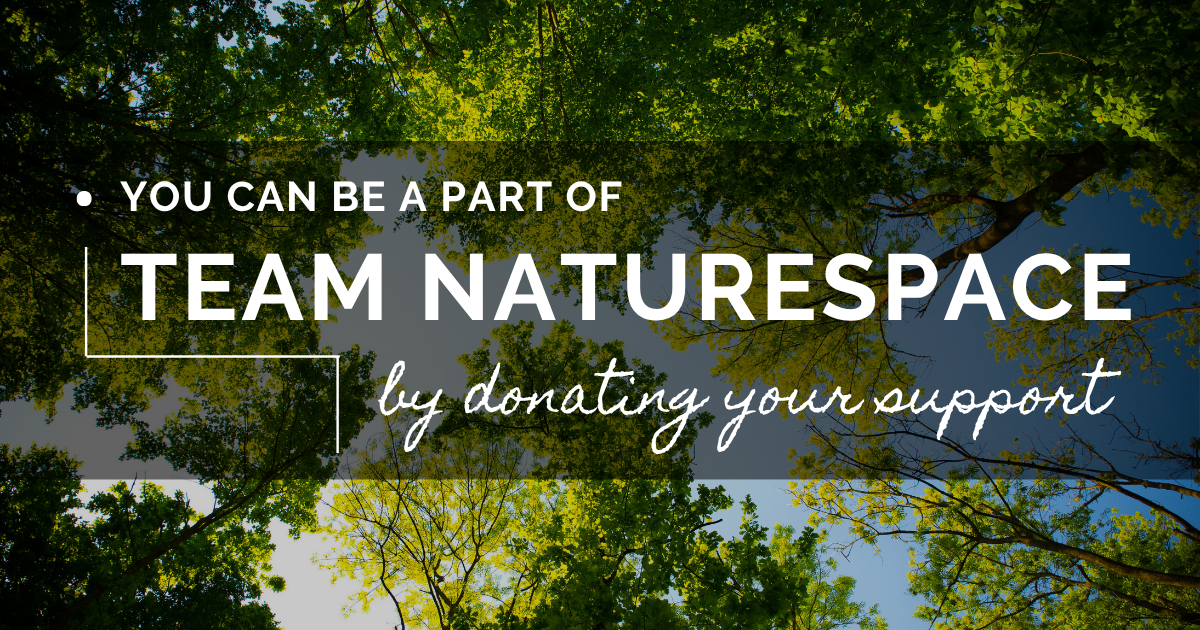 Campaign cover image for Team Naturespace Fund