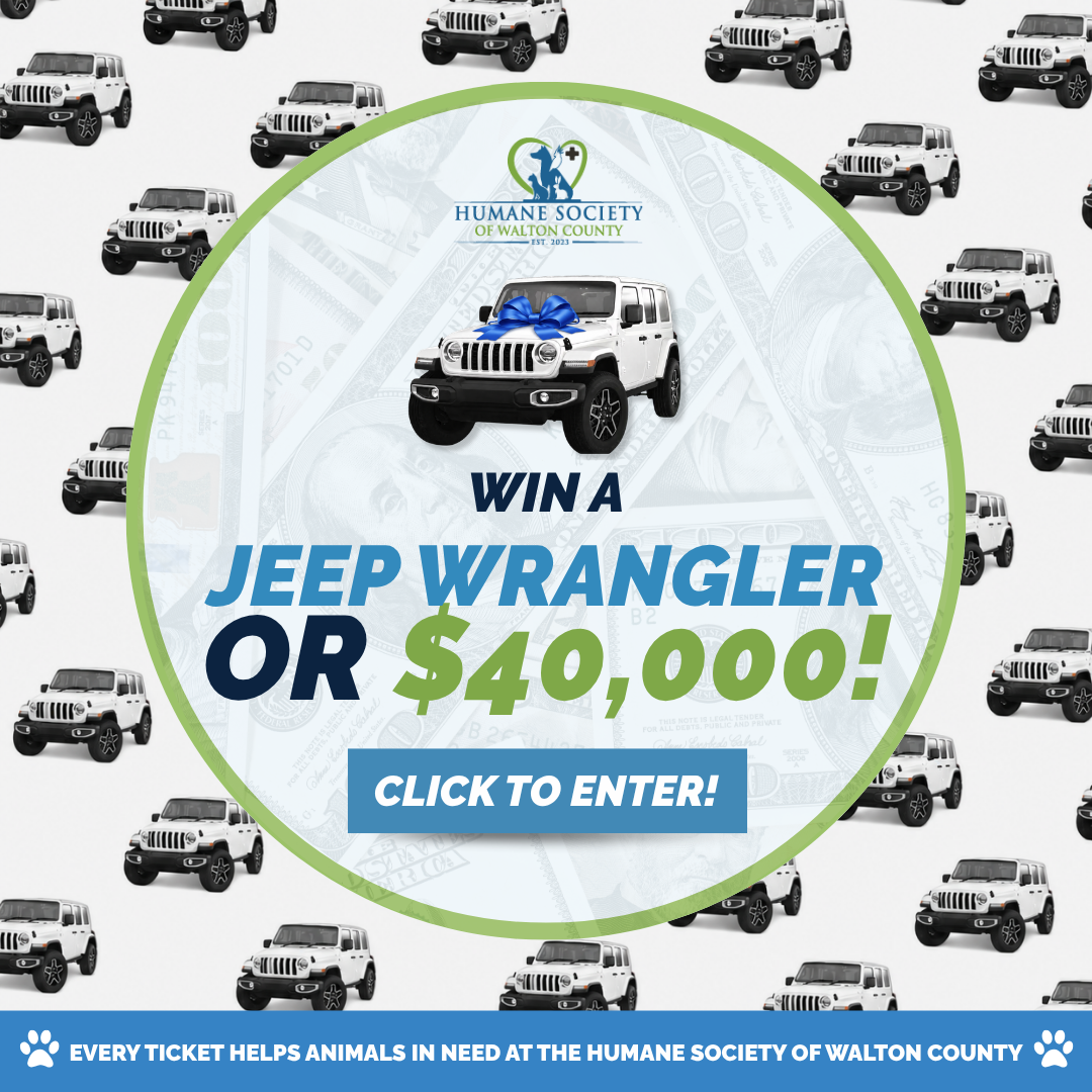 Campaign cover image for 2026 Trails & Tails Jeep Raffle