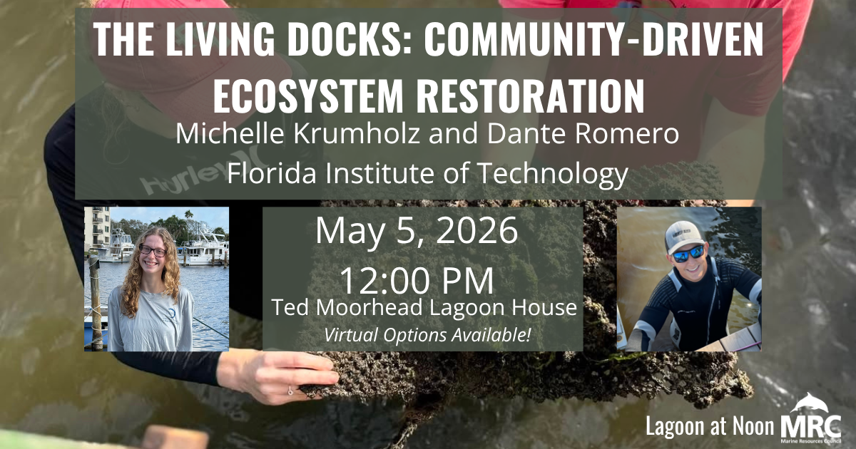 Campaign cover image for May 2026 Lagoon at Noon