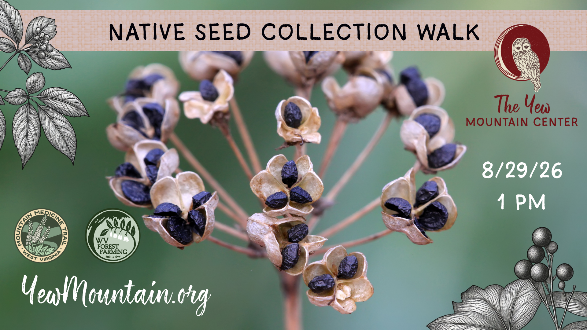 Campaign cover image for Native Seed Collection Walk