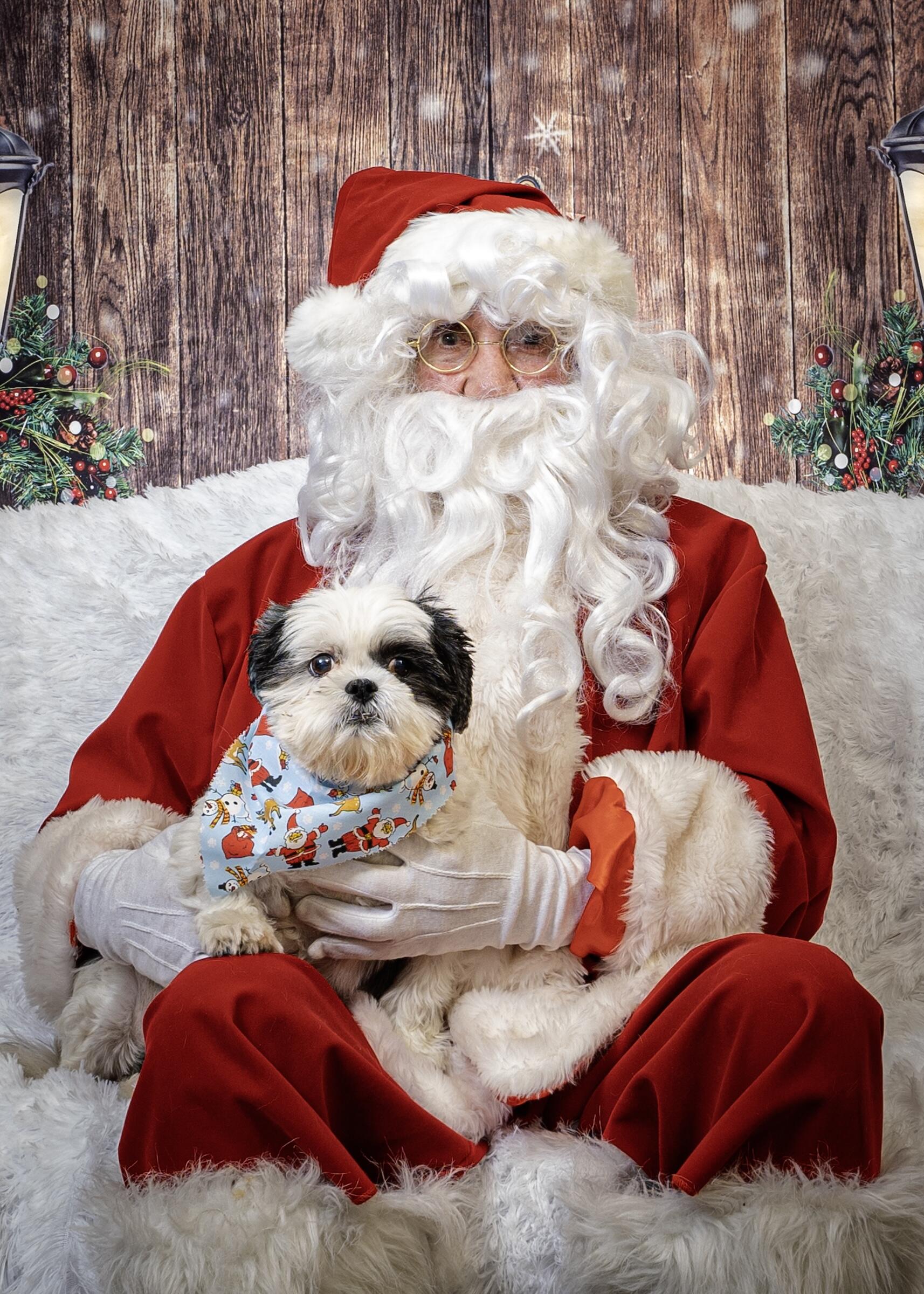 Campaign cover image for Giving Tuesday 2025