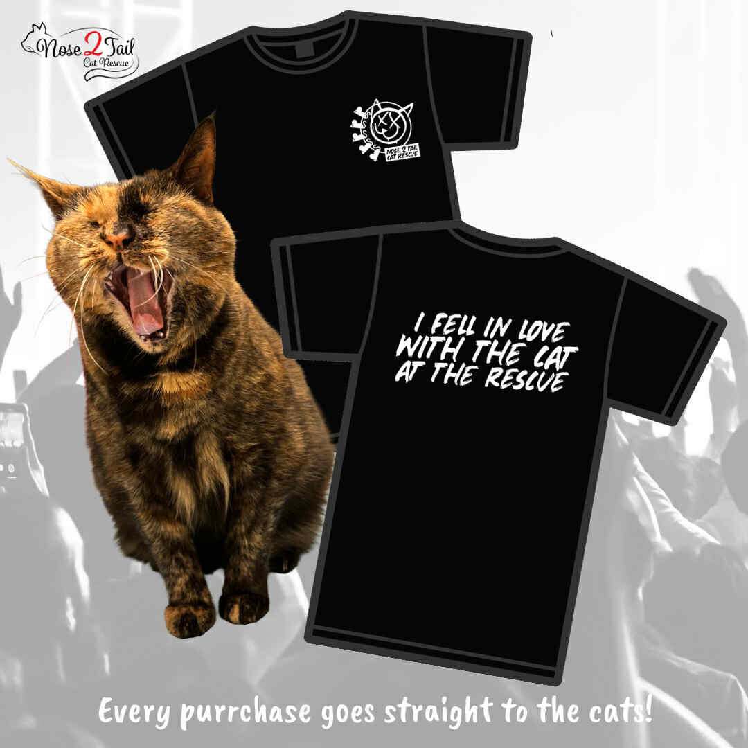 Campaign cover image for Cat at the Rescue - Four Chord Tees + Stickers!