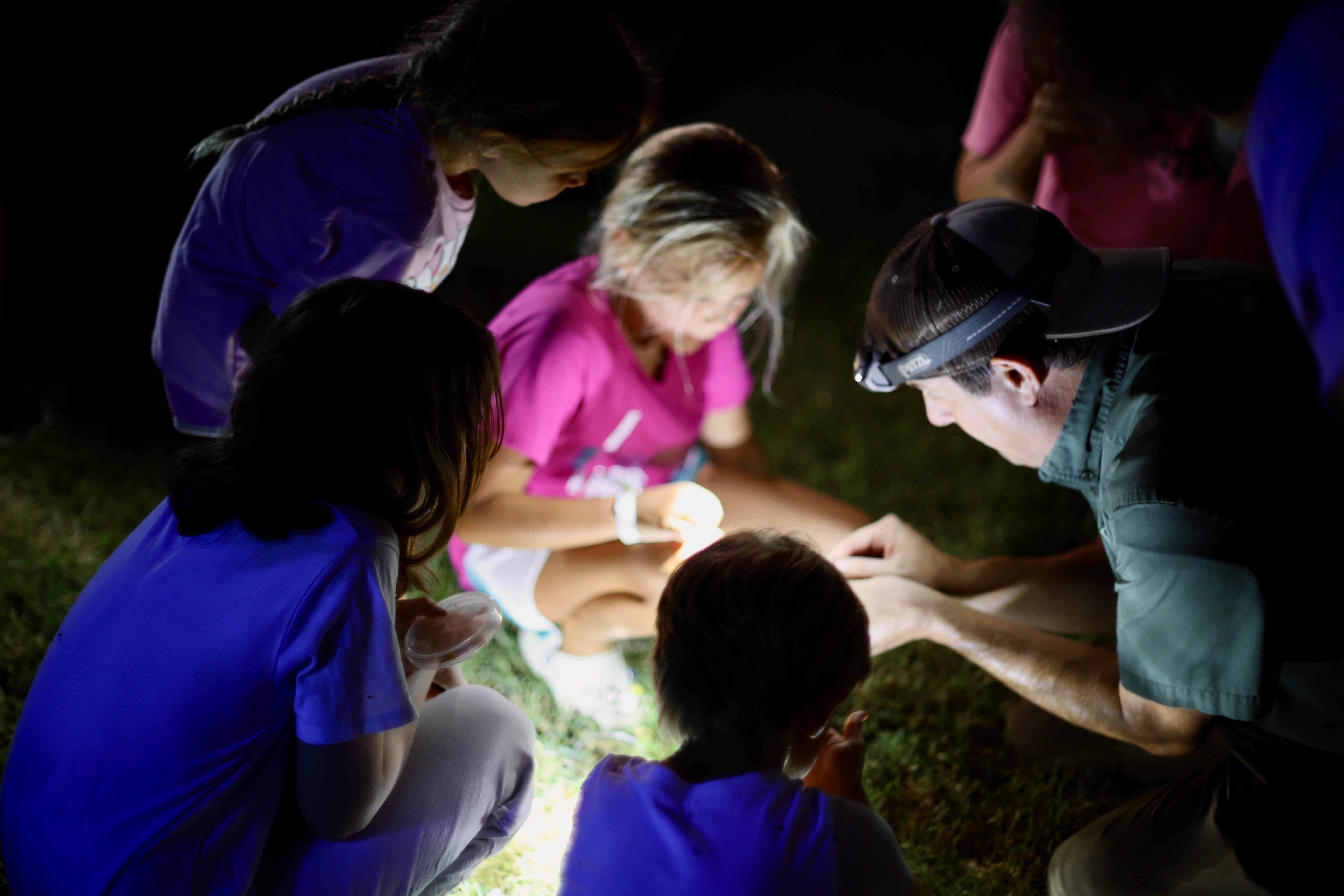 Campaign cover image for 6th Annual Moth Night with Sam Kieschnick