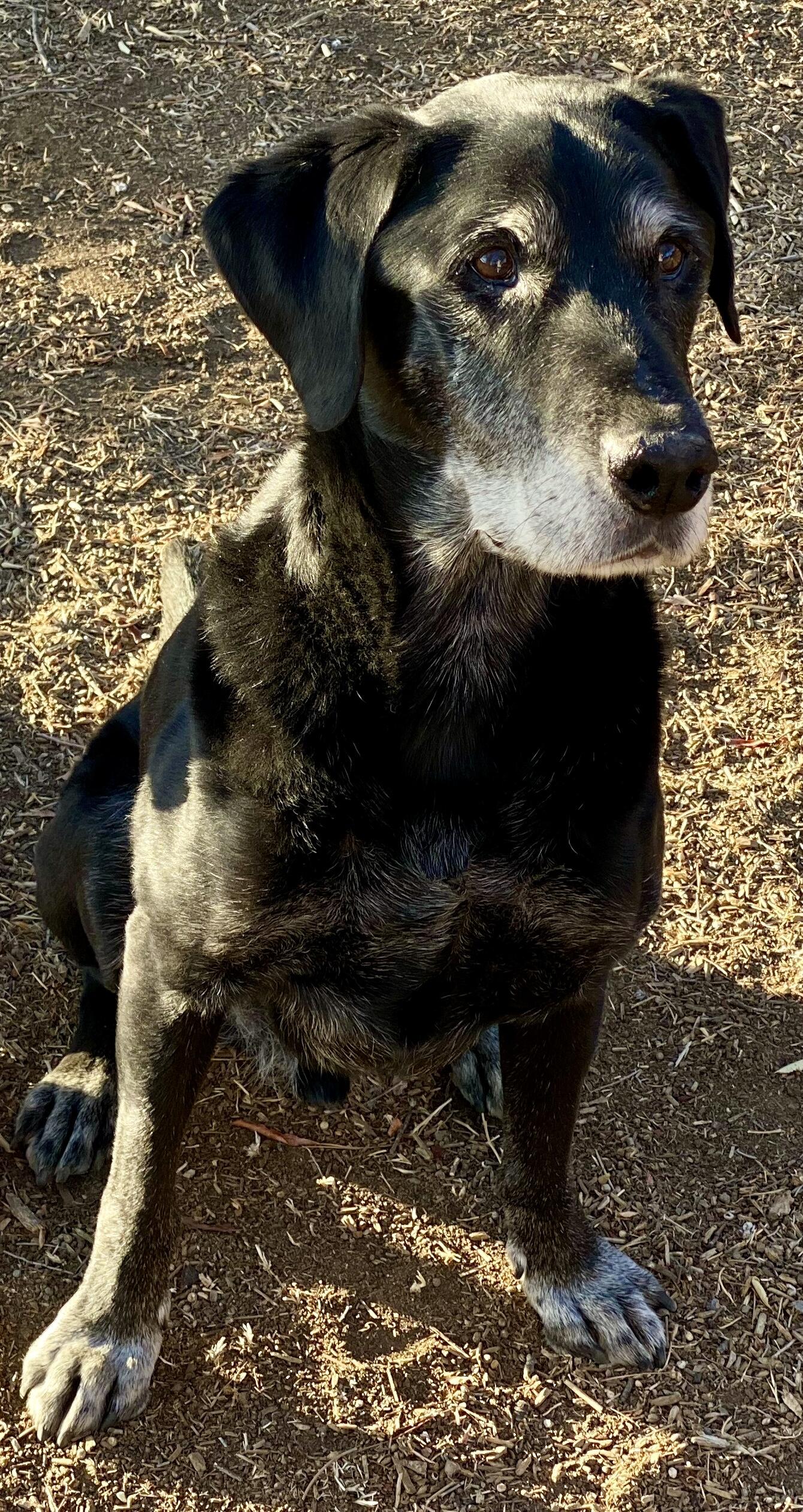 Campaign cover image for CACTUS Donation