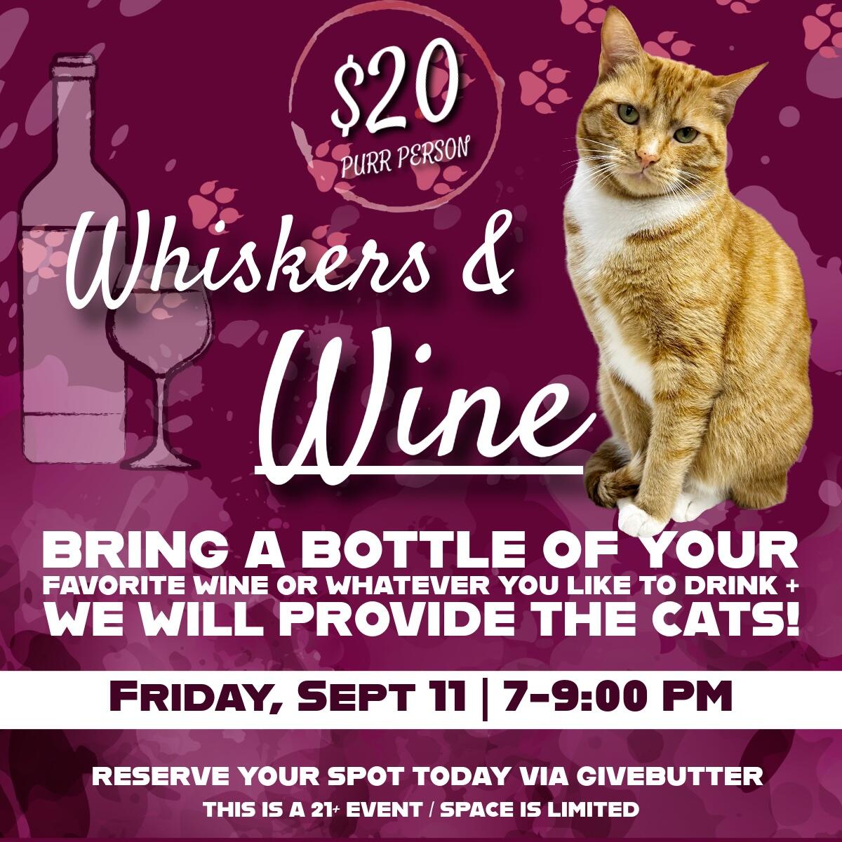 Campaign cover image for Whiskers & Wine