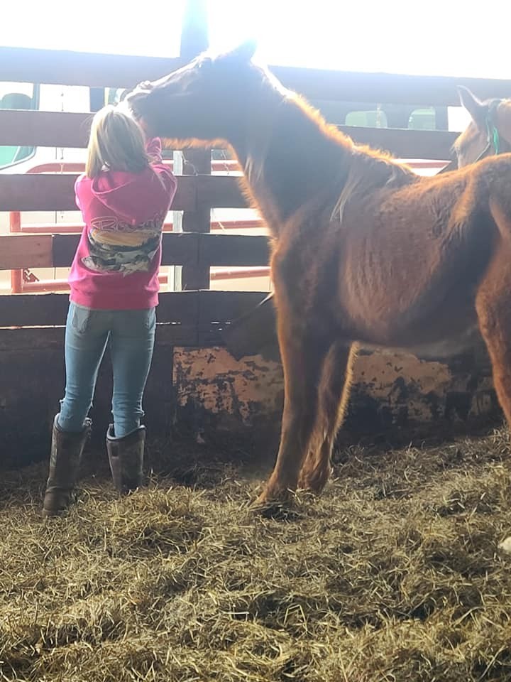 TSETVA'S HOOVES for HEROES