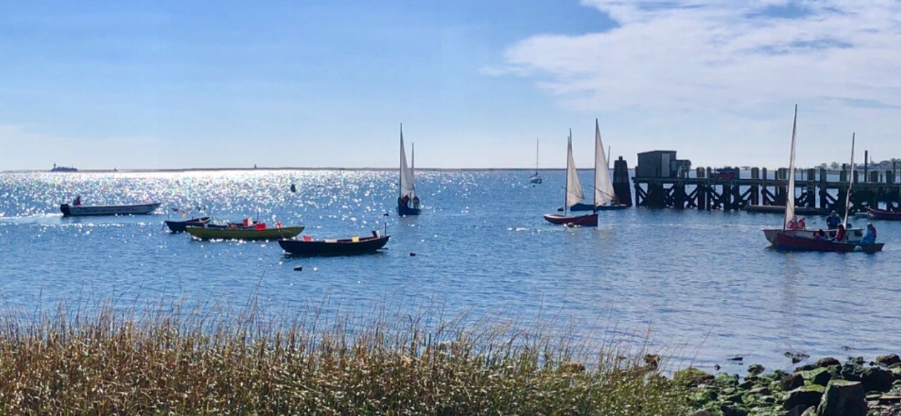 Campaign cover image for Sound School Harbor and Oysters Gathering